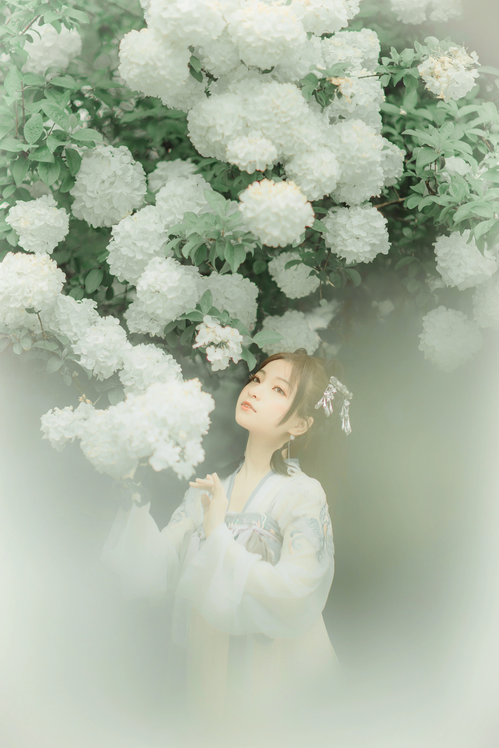 [YITUYU艺图语]2022.01.03 拂花 一千只大日日 1
